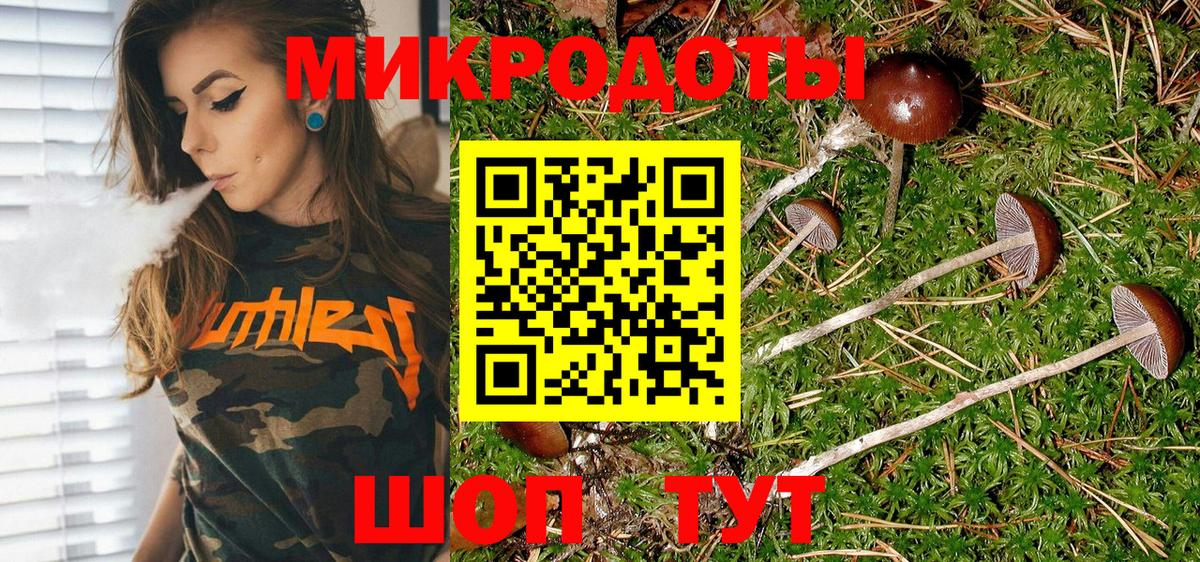 Псилоцибиновые грибы Psilocybe Ростов-на-Дону