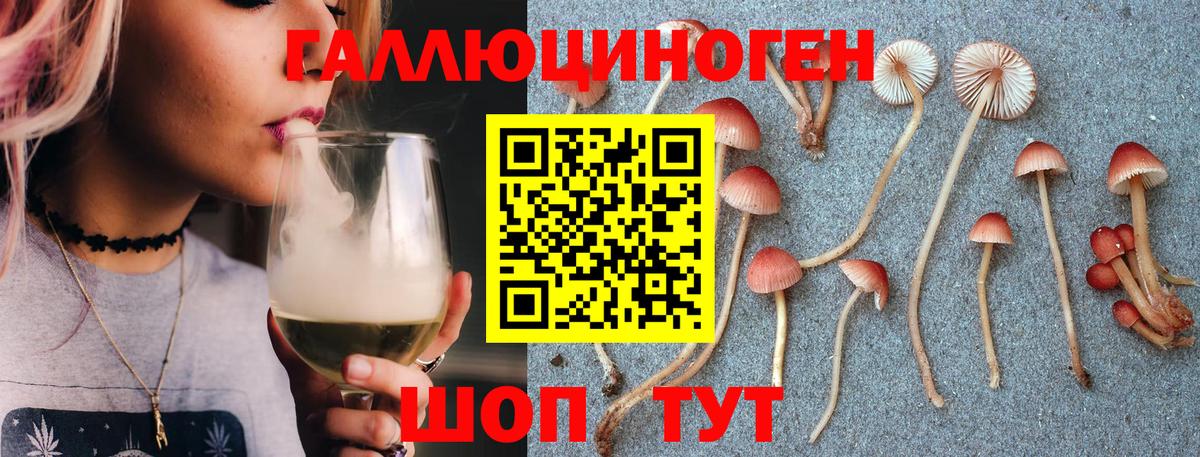 Ростов-на-Дону  Псилоцибиновые грибы мицелий  наркота  Вход с VPN 